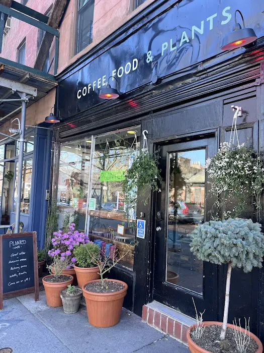 PLANTED CAFE Picture 8