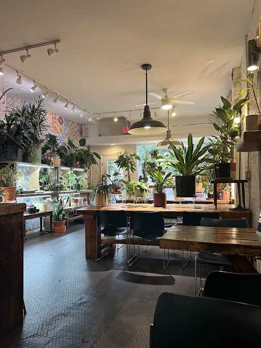 PLANTED CAFE Picture 5