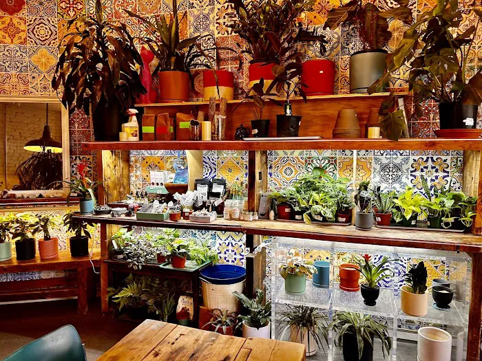 PLANTED CAFE Picture 10