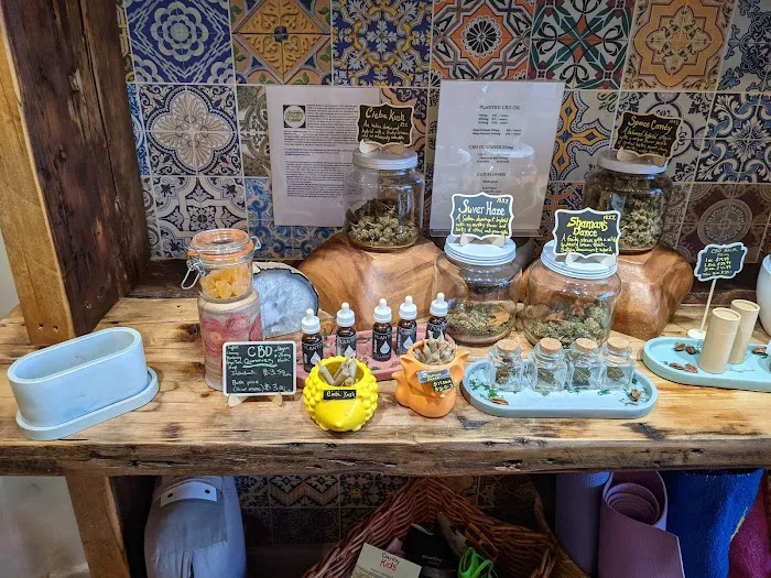 PLANTED CAFE Picture 2