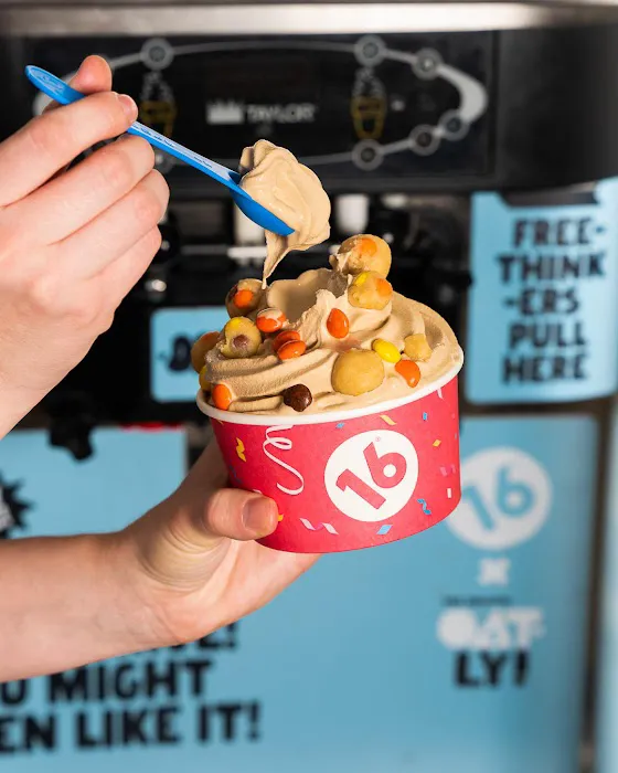 16 Handles Picture 10