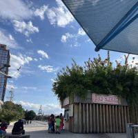 OddFellows Ice Cream Co. ico