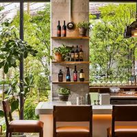 Barbuto Brooklyn ico