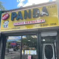 New Panda ico