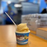 Ralph’s Famous Italian Ices ico