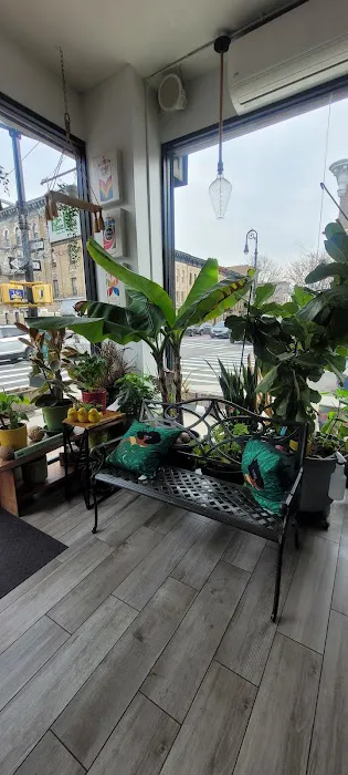 Pasa Pasa juice bar and food Picture 5