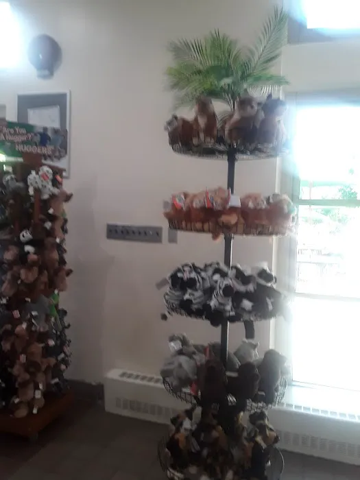 Sea Lion Store and Café Picture 1