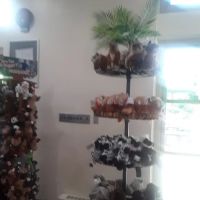 Sea Lion Store and Café ico