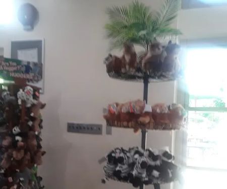 Sea Lion Store and Cafu00e9