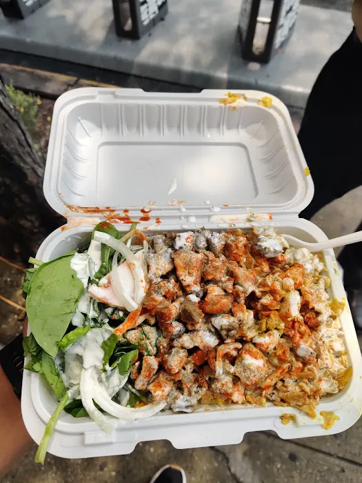 Halal Food Truck Picture 9