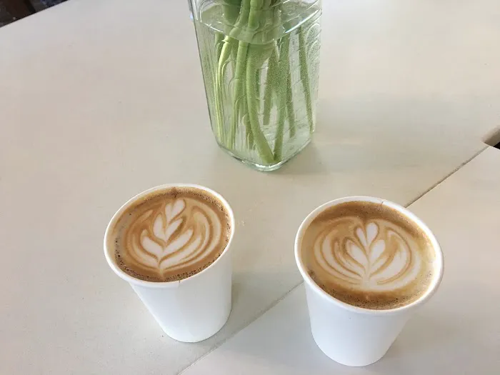 Brooklyn Habit Picture 2