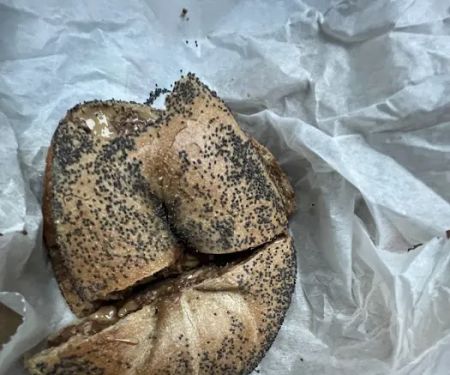 Bagel House