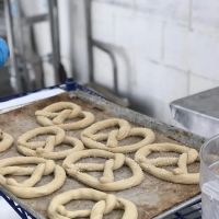 Leaven & Companions ico