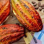 slowcocoa craft chocolate