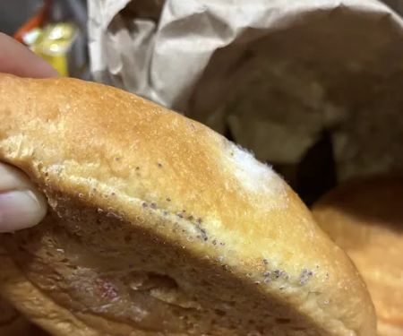 Ricuras Ecuadorian Bakery