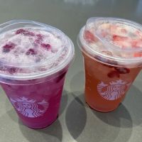 Starbucks ico
