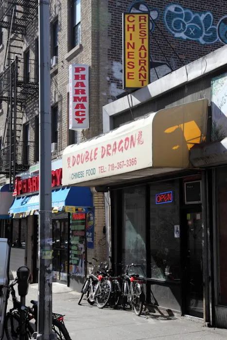 Double Dragon Picture 5
