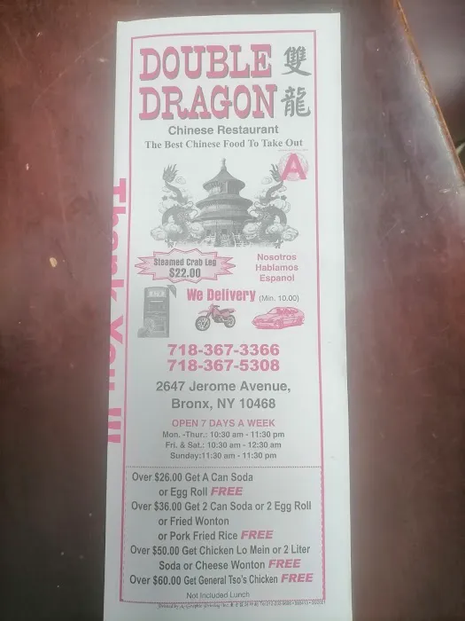 Double Dragon Picture 8