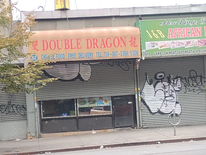 Double Dragon Picture 9