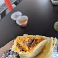 Mockingbird Taco ico