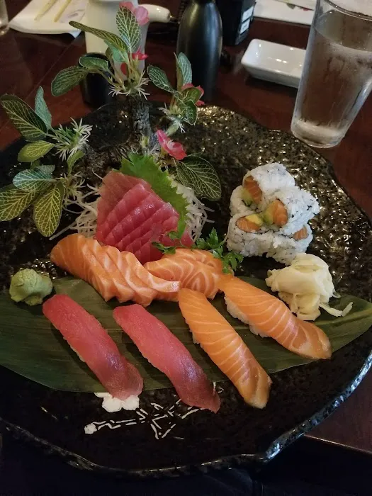 New Kiku Sushi Picture 4