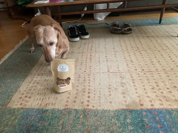 Dude's Delicious Dog Treats Picture 1