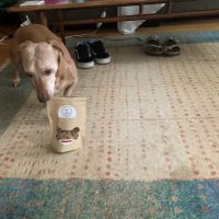 Dude's Delicious Dog Treats ico