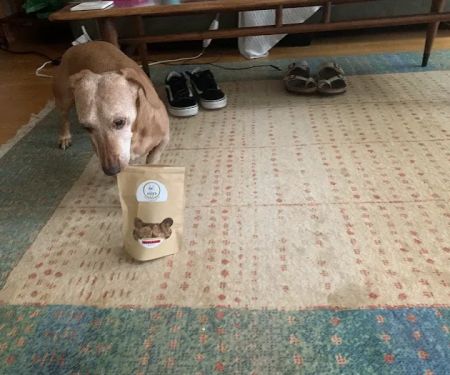 Dude's Delicious Dog Treats