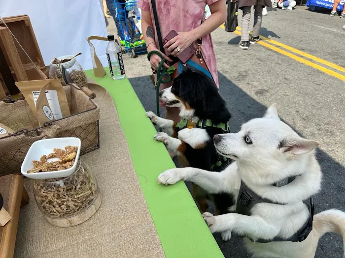 Dude's Delicious Dog Treats Picture 6