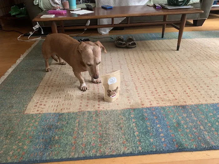 Dude's Delicious Dog Treats Picture 4