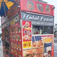 Yasmin halal food ico