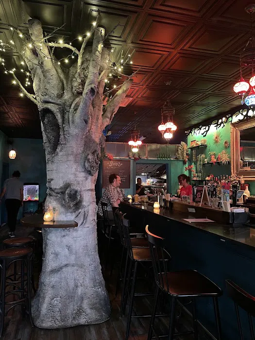Fiona's Bar Picture 10