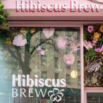 Hibiscus Brew