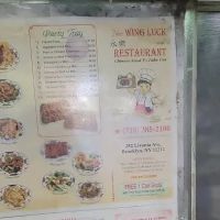 Wing Luck ico