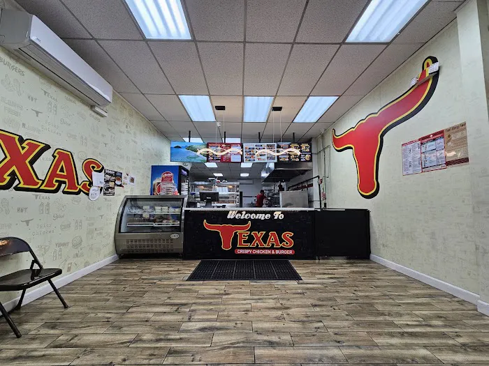 Tex’s Chicken & Burgers Picture 6