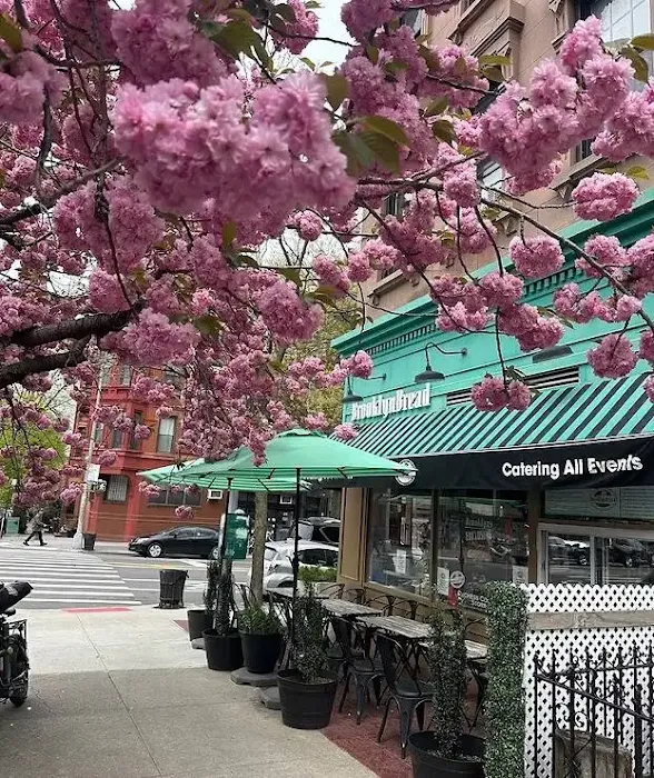 Brooklyn Bread Cafe Picture 9