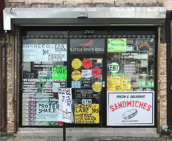 Little spicy deli Picture 1