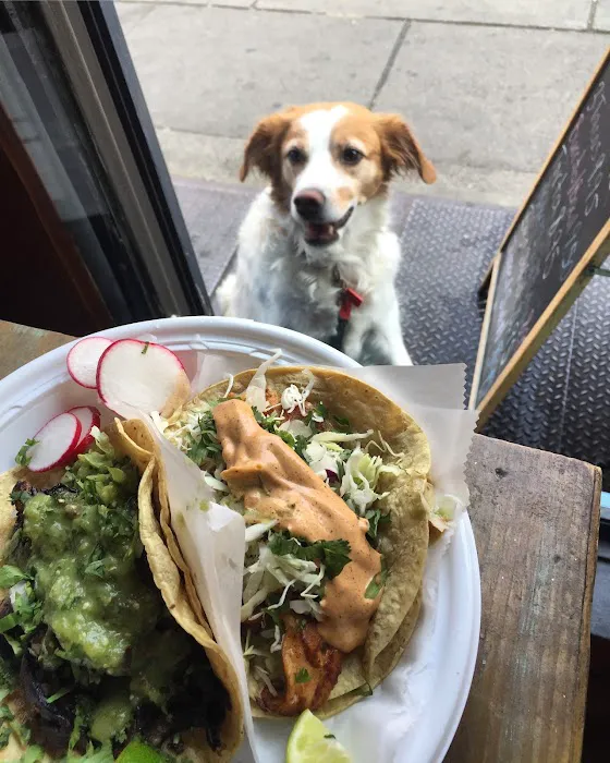 Fatty Daddy Taco Picture 10