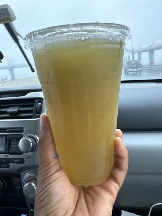 Holy Fruits Juice Press Picture 1
