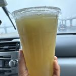 Holy Fruits Juice Press