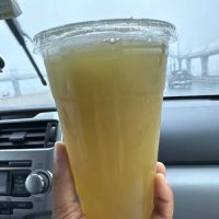 Holy Fruits Juice Press ico
