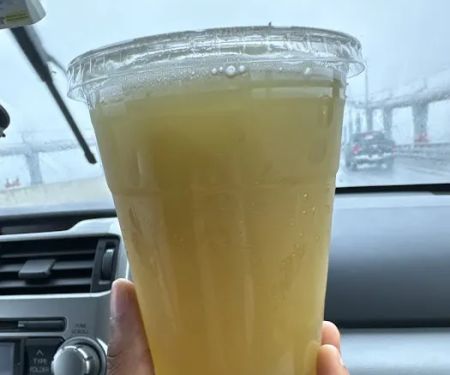 Holy Fruits Juice Press