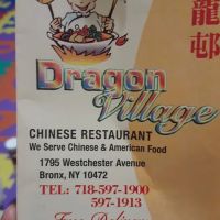 Dragon Village ico