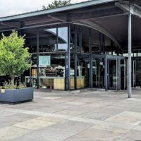 The Pine Tree Café ico