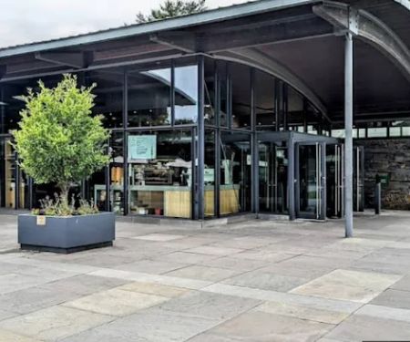 The Pine Tree Café