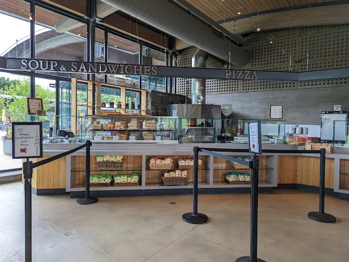 The Pine Tree Café Picture 2