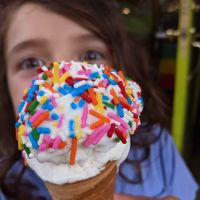 Scoops Ice Cream Parlor ico