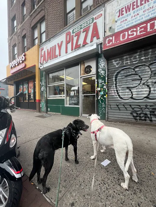 Family Pizza Picture 9