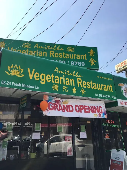 CAREYOU FOUNDATION INC (Used to Amitabha Vegan) Picture 2