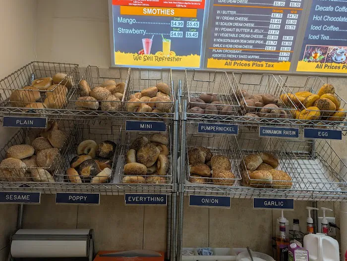 Heena Bagel Picture 6
